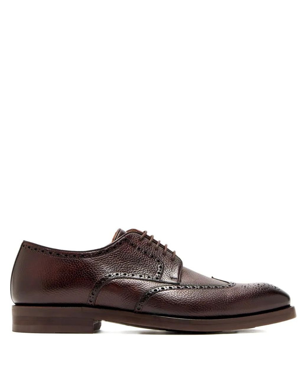 Magnanni Shoes Brown Lace-Up Leather Derby Shoes for men
