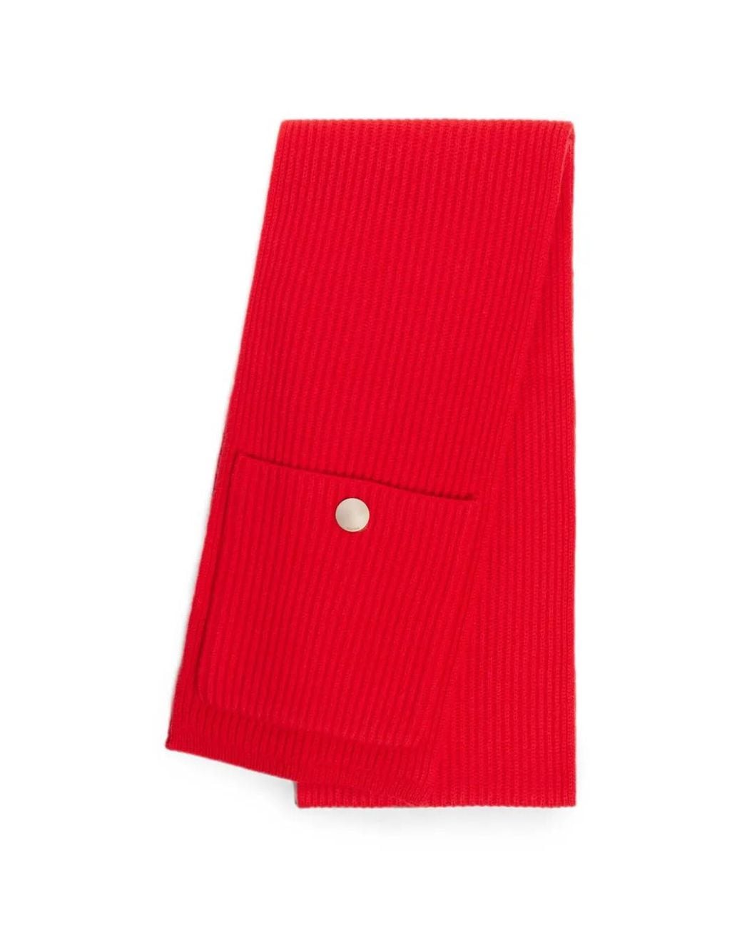 Sciarpa A Coste di Sandro in Red