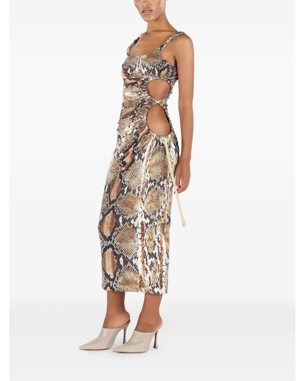 Roberto Cavalli Brown Python-Print Midi Dress