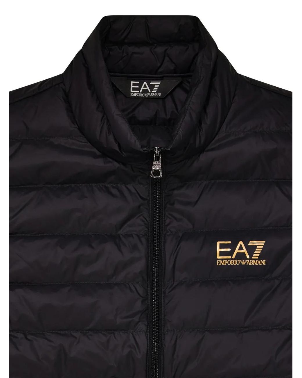 EA7 Gefütterte Weste Mit Logo-Print in Black für Herren