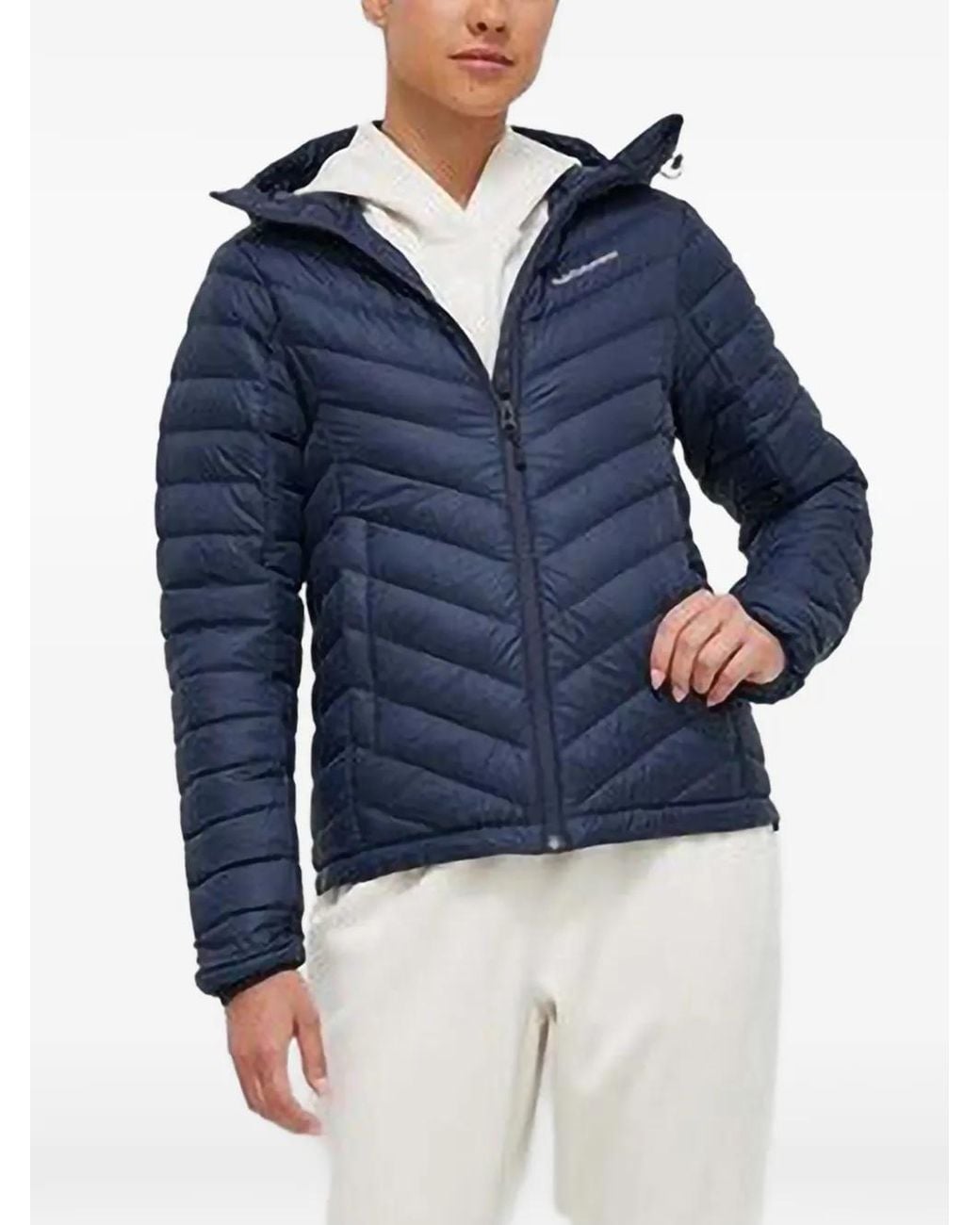 PUMA Blue Pwrfleece Hoodie