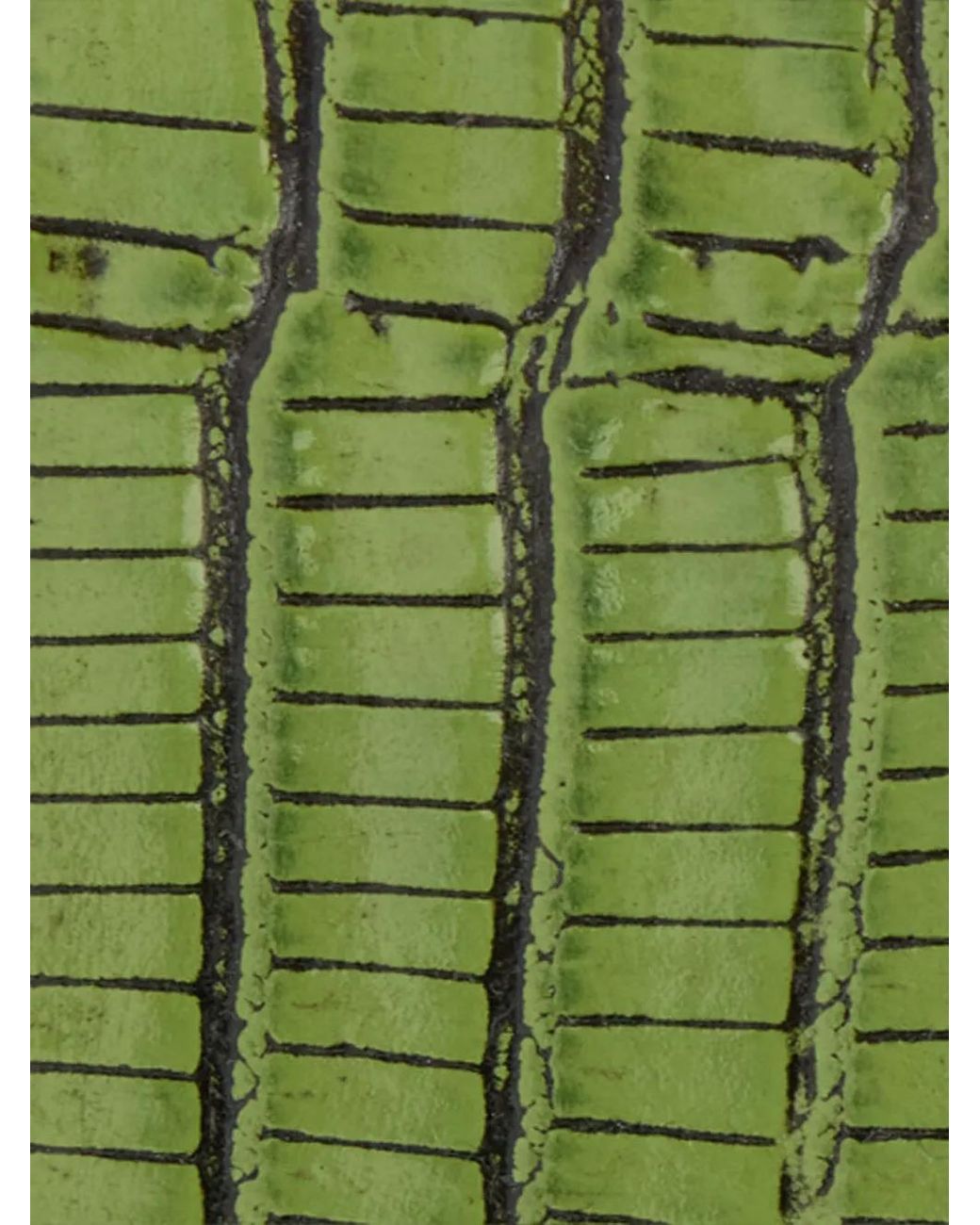 Roberto Cavalli Green Snake-Buckle Belt