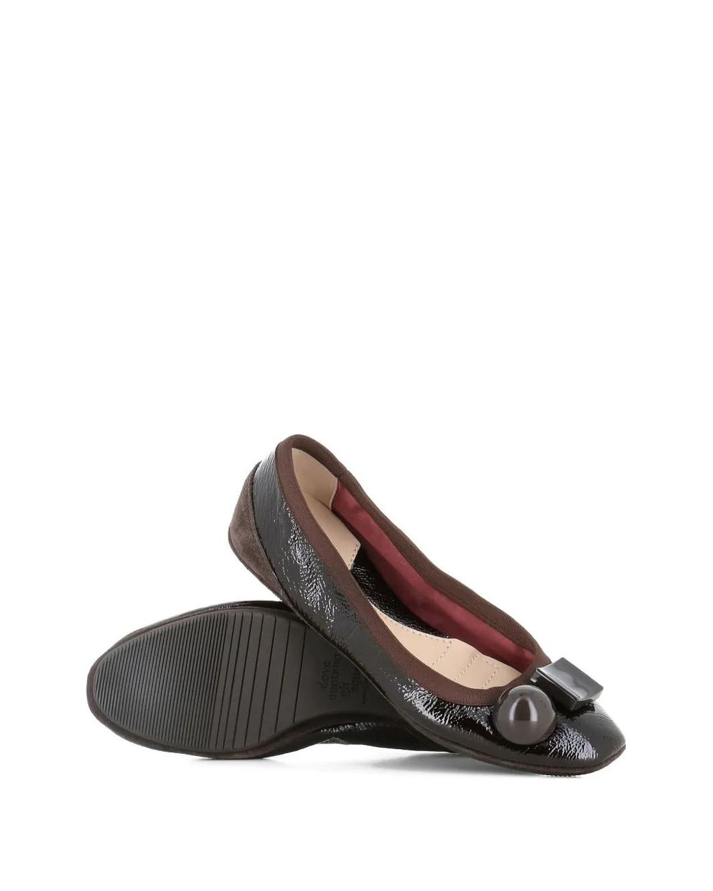 Dove Nuotano Gli Squali Brown Where Sharks Swim Becky Ballet Flats