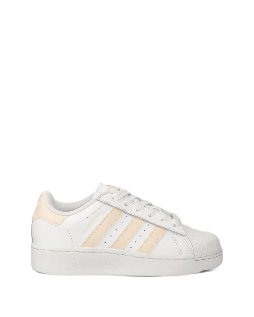 Adidas White Superstar Sneakers