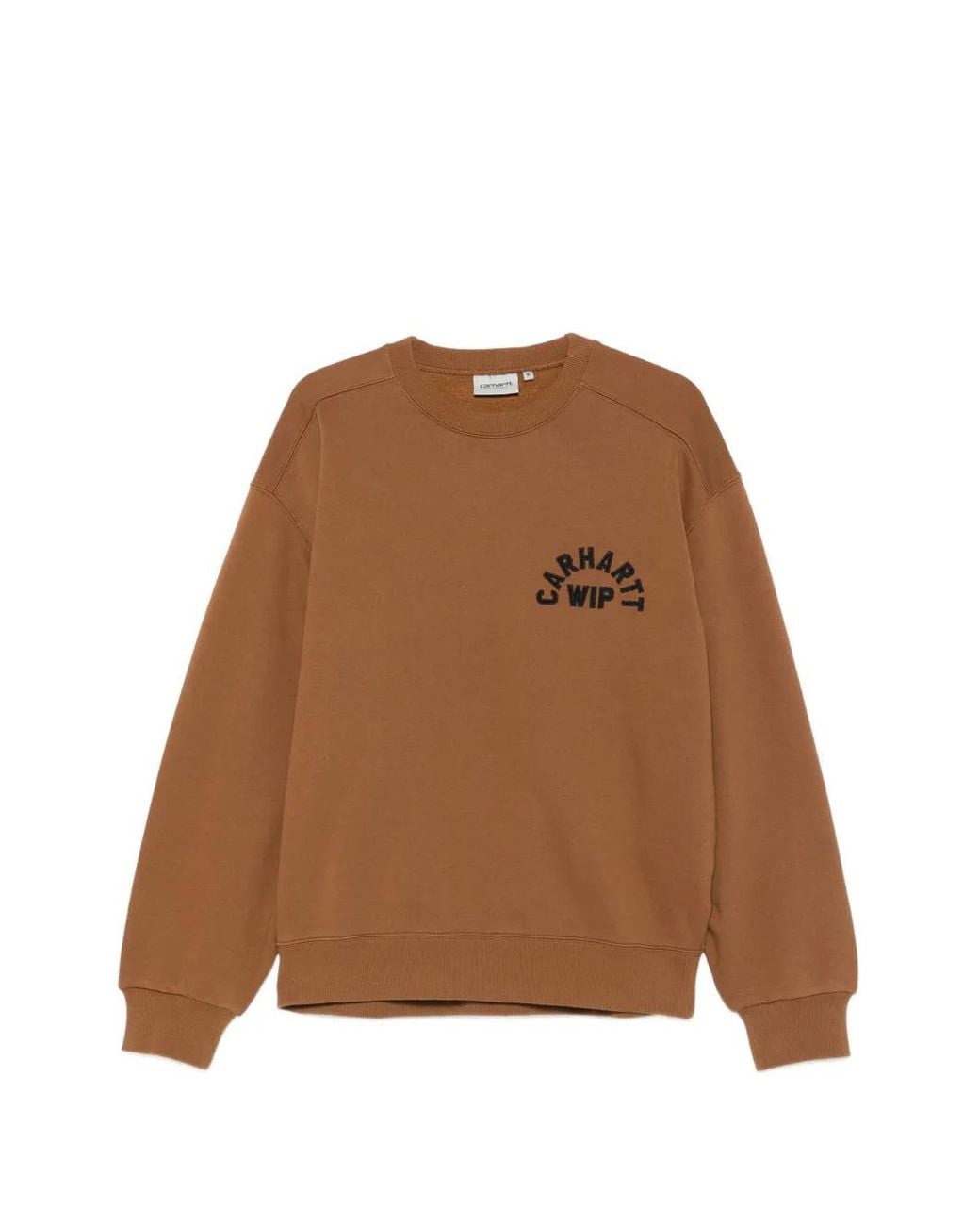 Carhartt Brown Arch Script Sweatshirt For for men