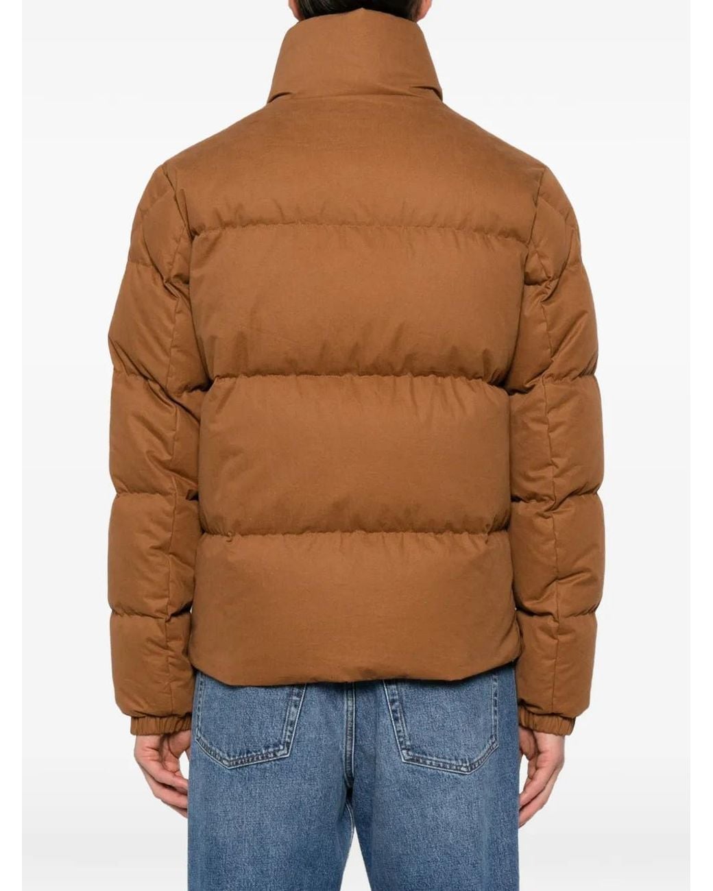 Moncler Brown Isenviel Cotton Poplin Short Down Jacket for men