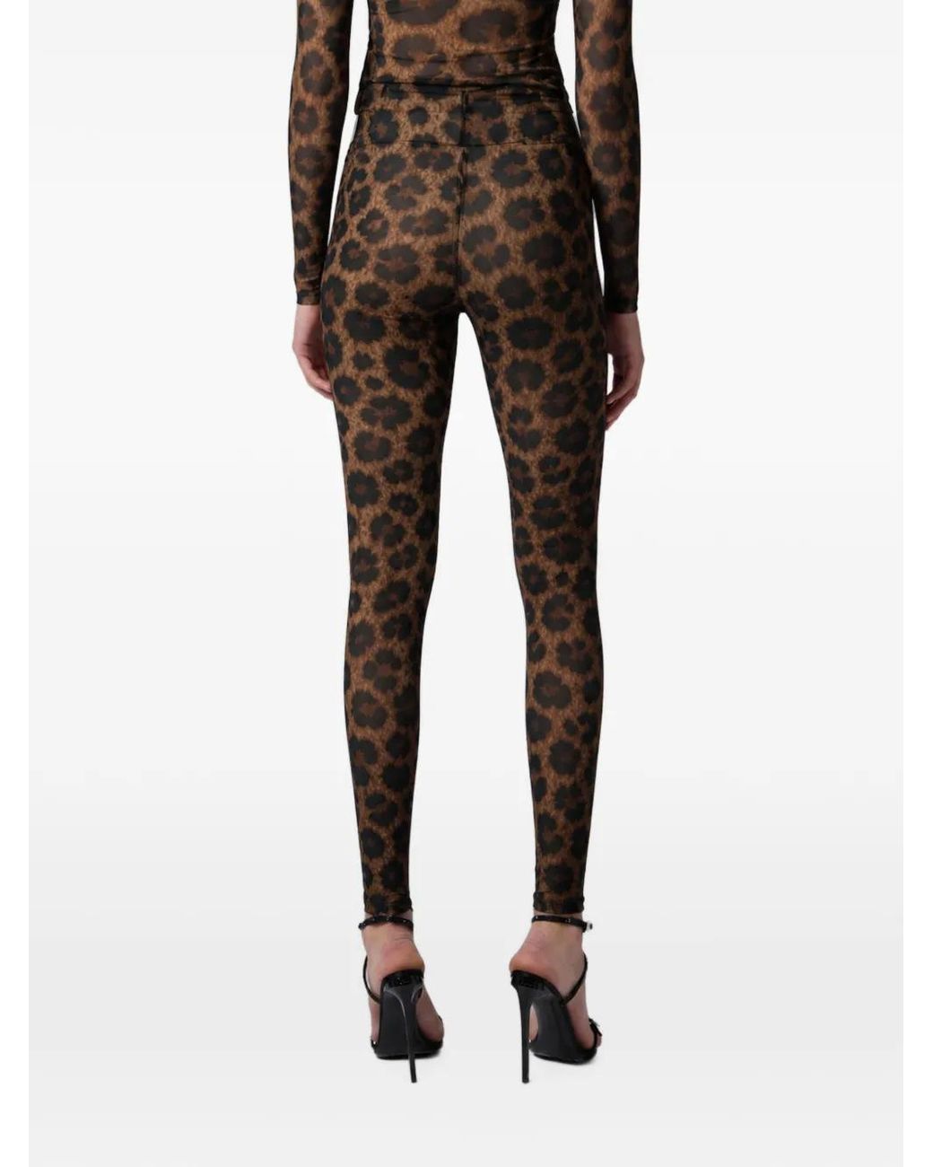 Philipp Plein Brown Tulle Leggings Leopard