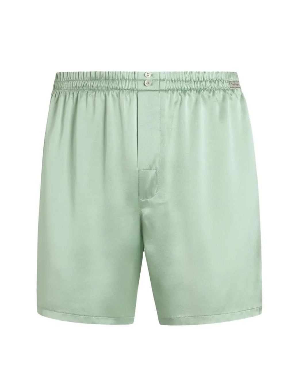 Dolce & Gabbana Green Silk Satin Boxer Shorts for men