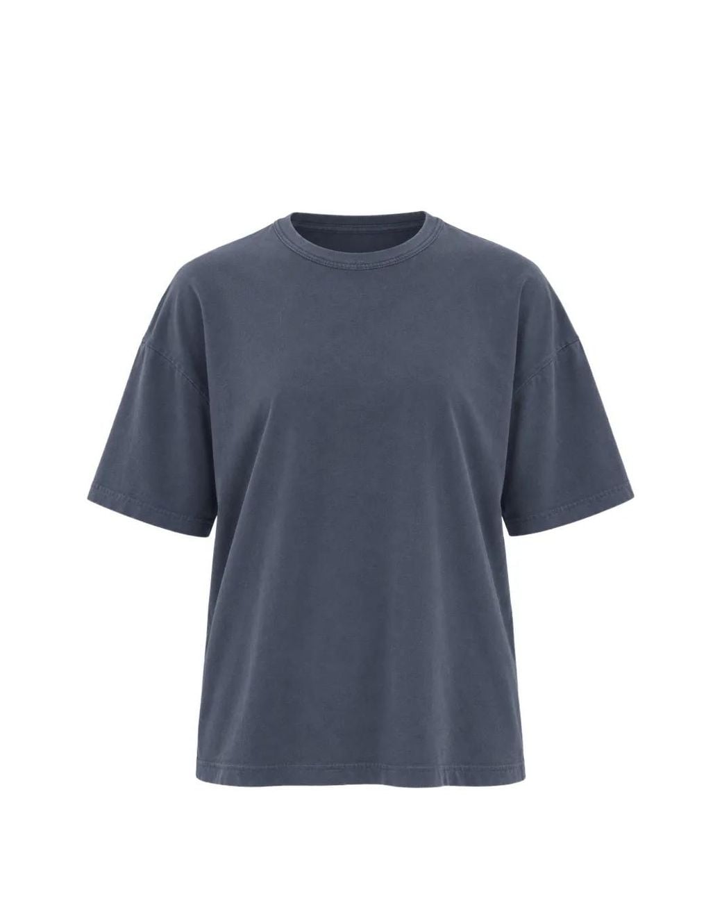 Black Crane Blue Short-Sleeve T-Shirt