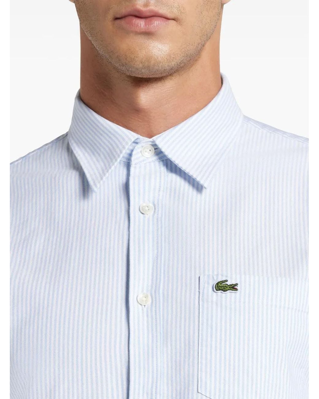 Lacoste Blue Organic Cotton Shirt for men