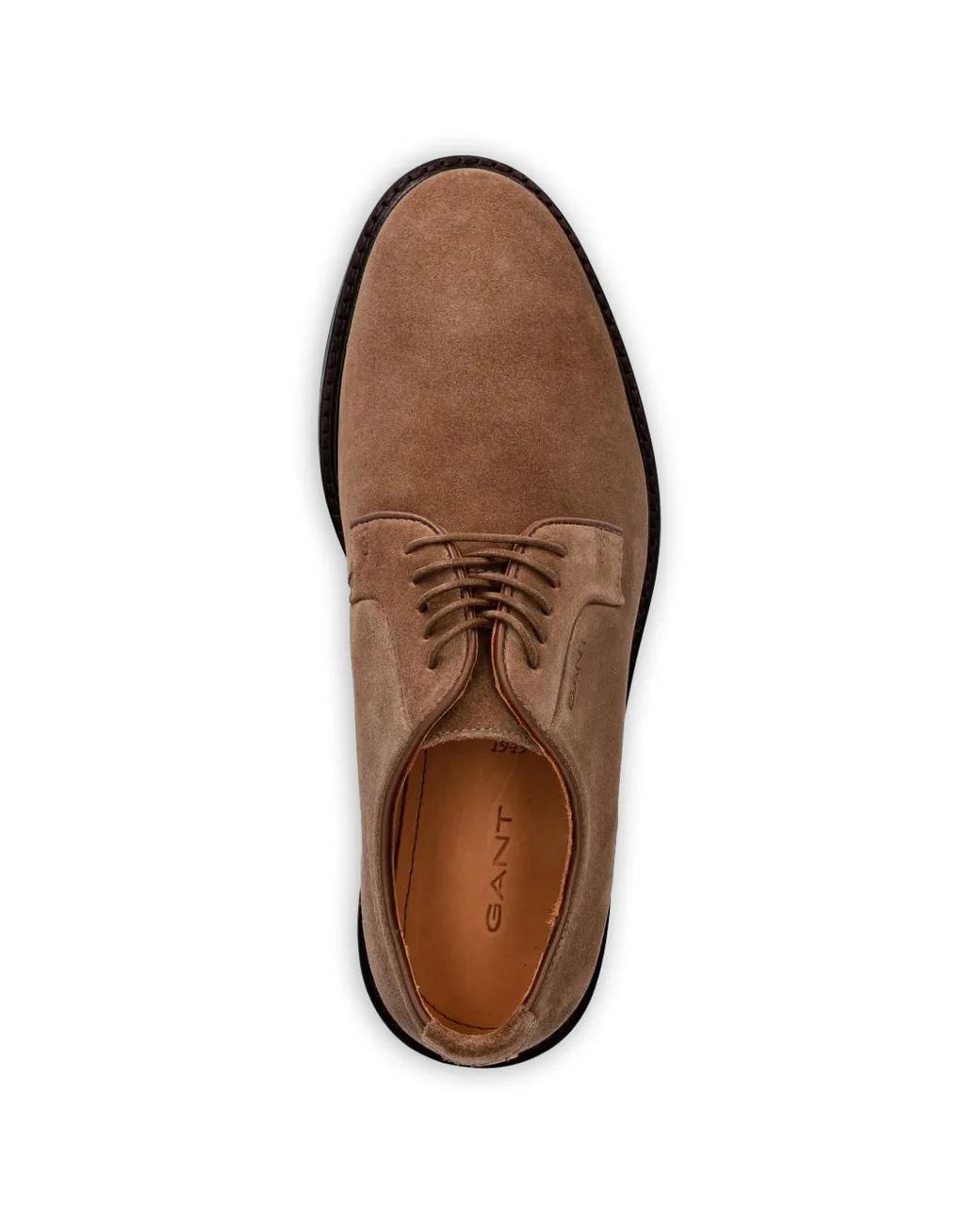 Gant Brown Bidford Derby Shoes for men
