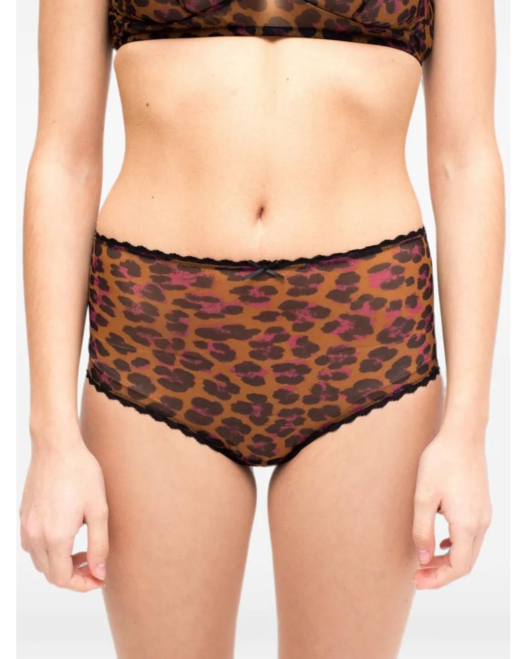 Laura Urbinati Brown Leopard-Print Lace-Trim Briefs