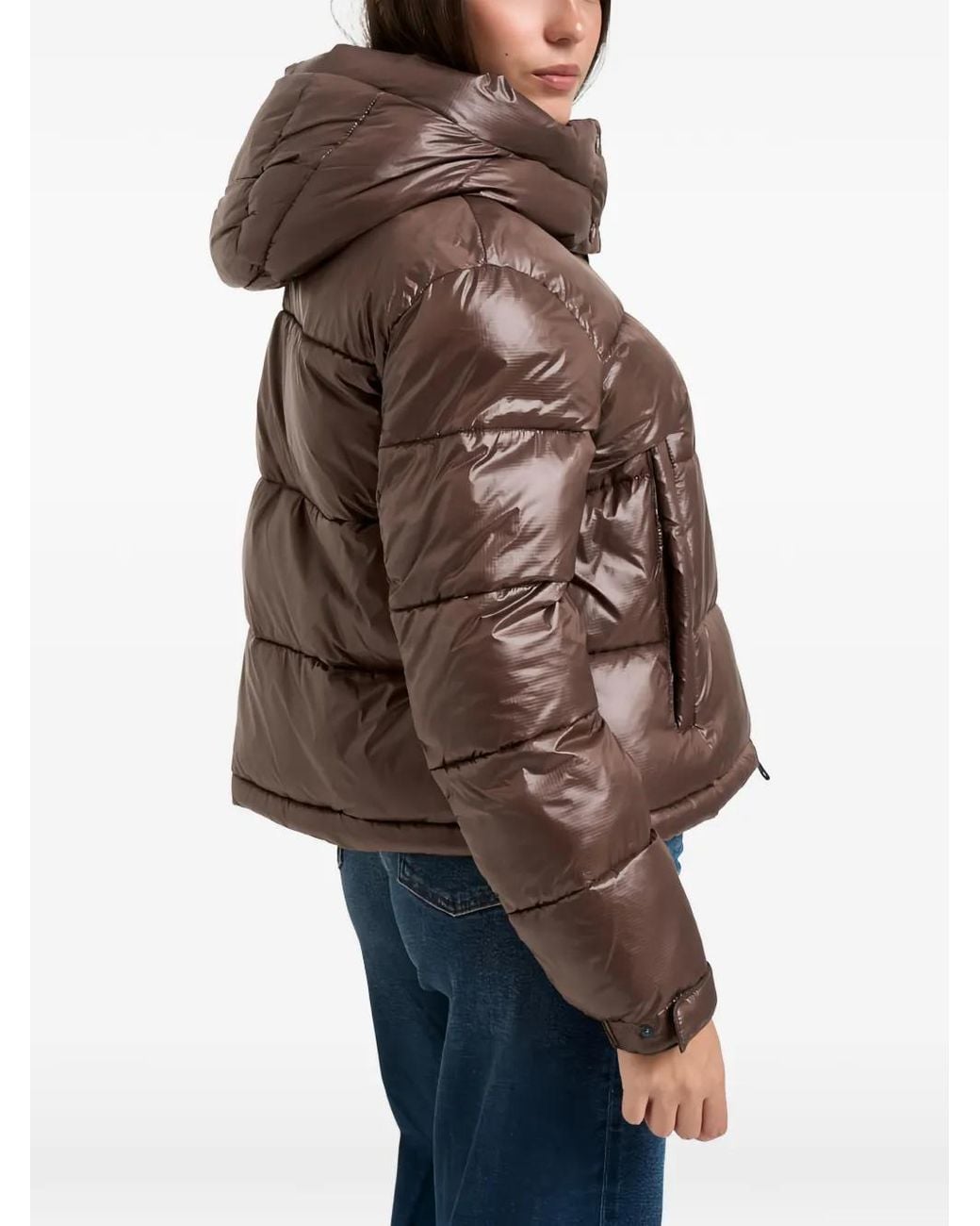 Blauer Brown Puffer Hooded Jacket