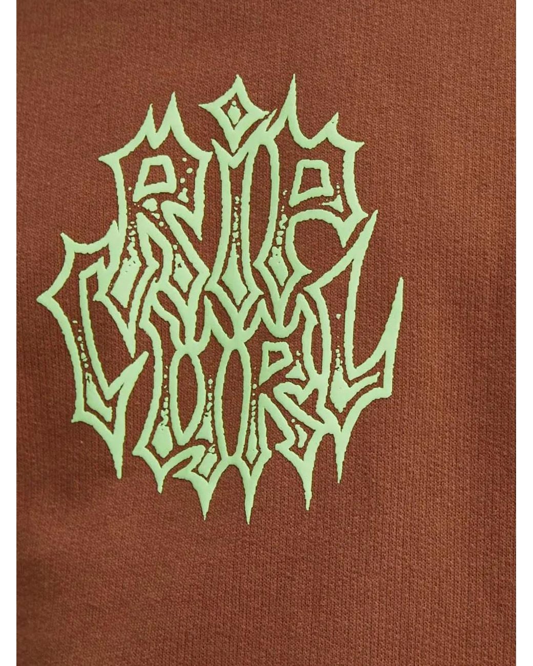 Rip Curl Brown Graphic-Print Drawstring Hoodie for men