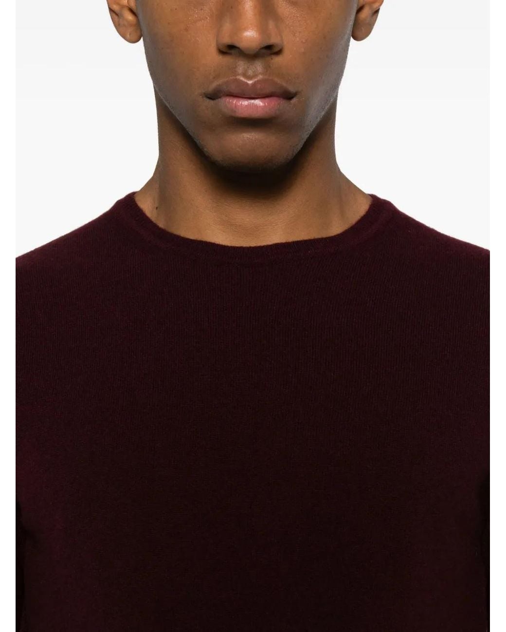 Daniele Fiesoli Purple Crew-Neck Long-Sleeve Sweater for men