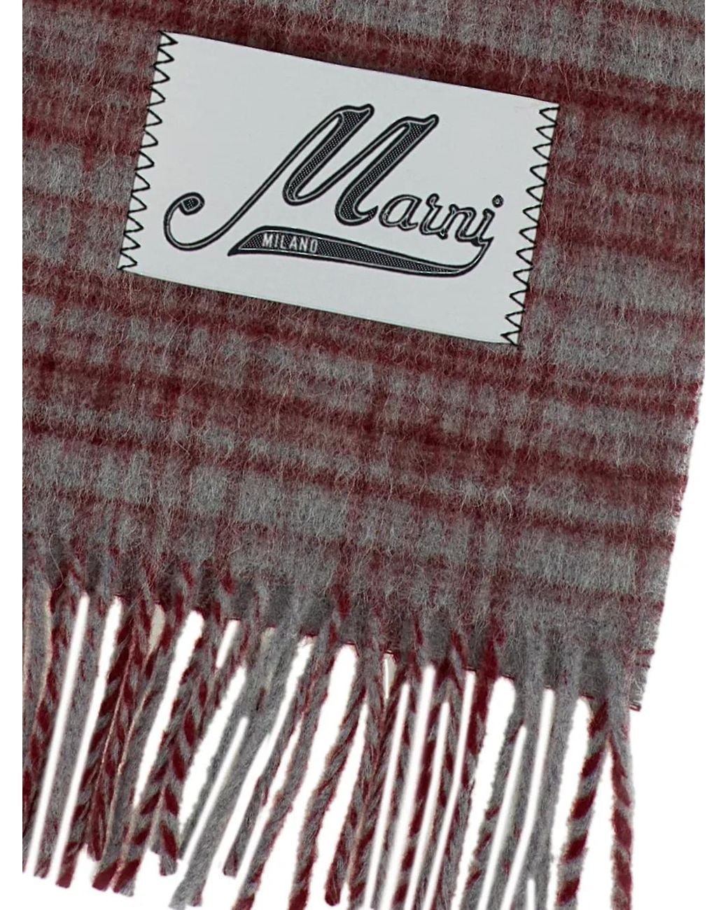 Marni Purple Check-Pattern Fringed Scarf