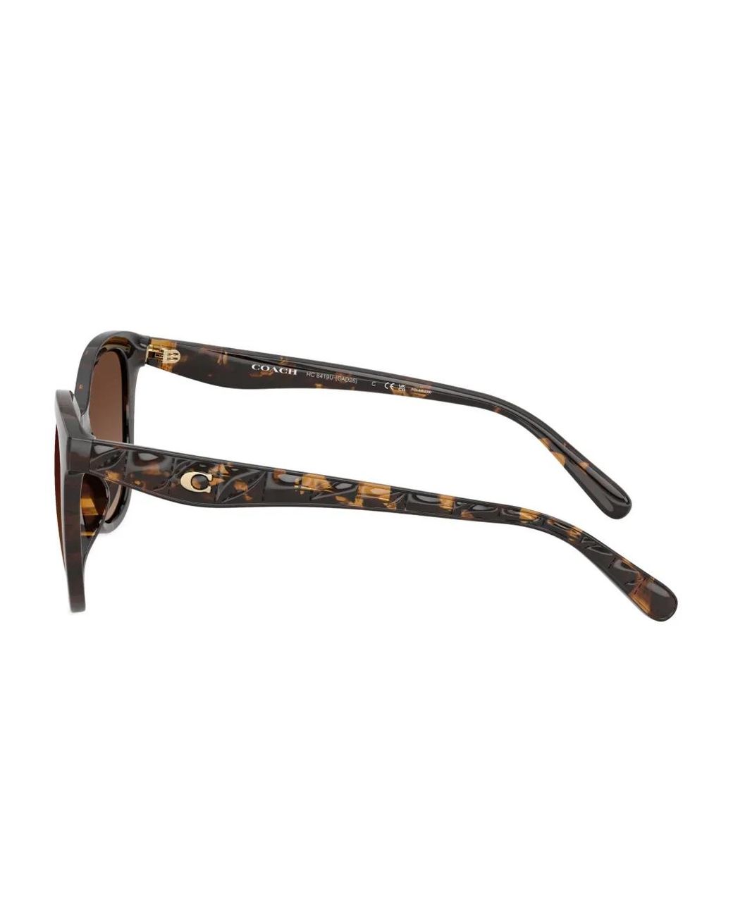 COACH Brown Logo-Plaque Sunglasses