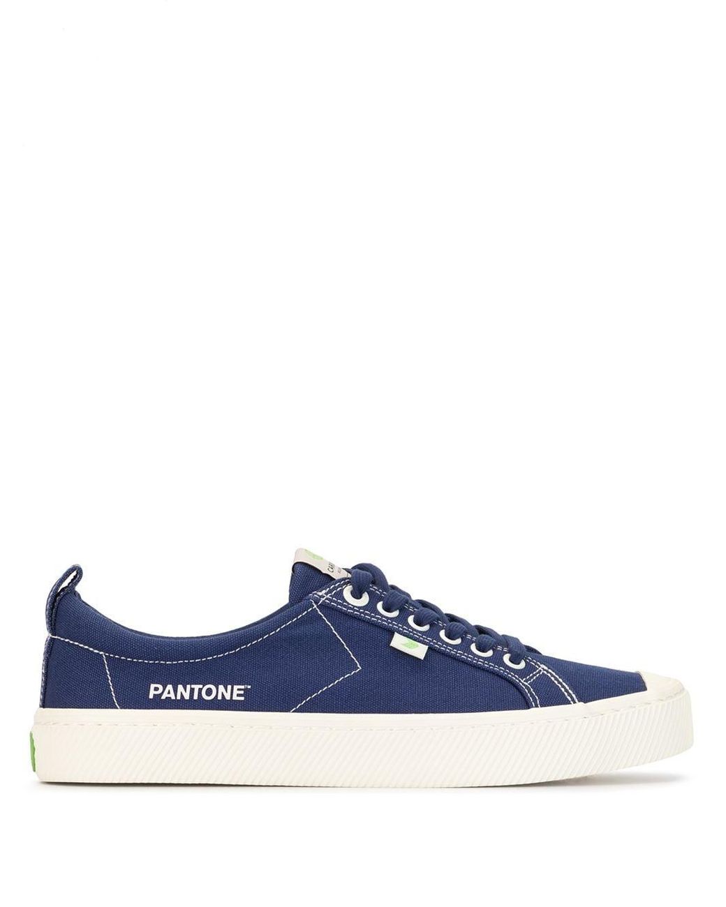 pantone cariuma