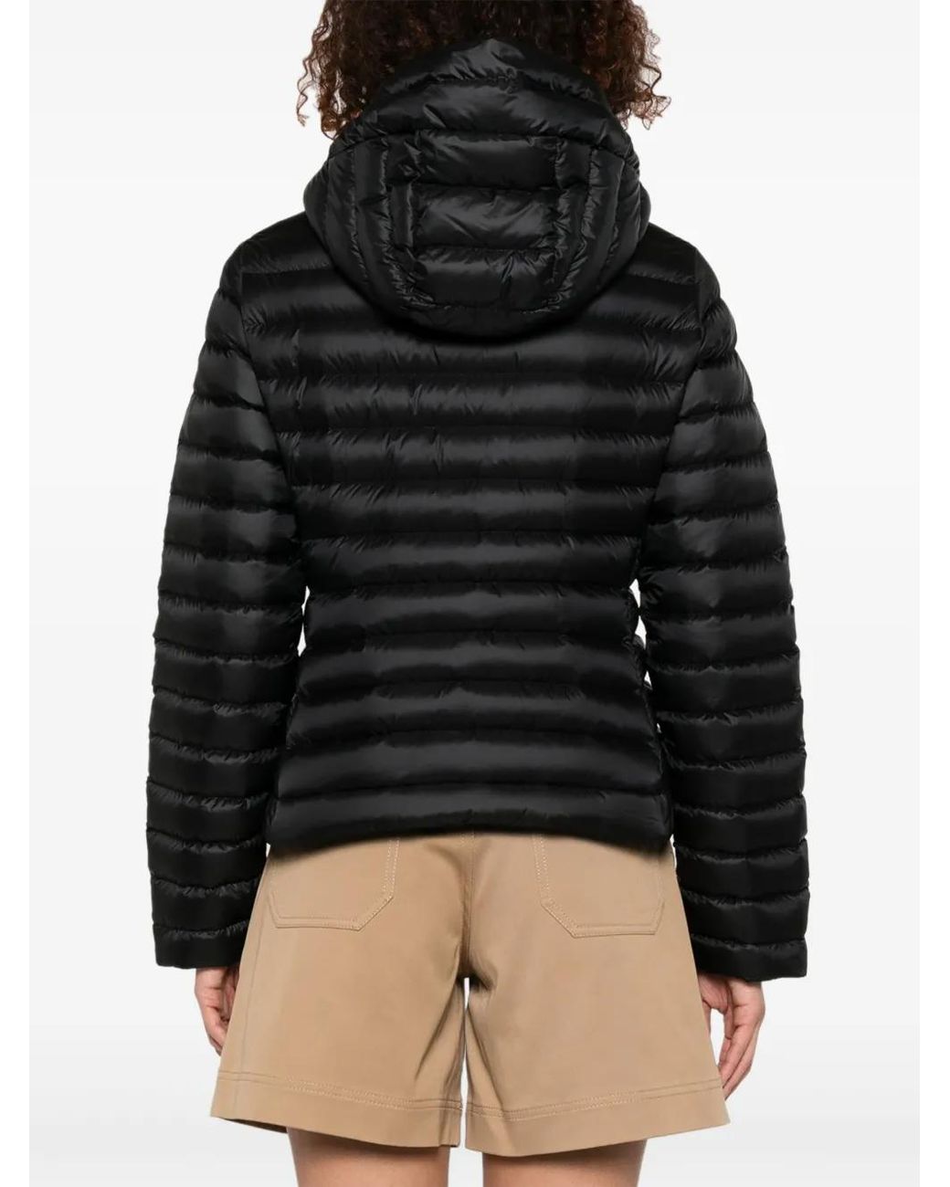 Veste Ige Moncler en coloris Black