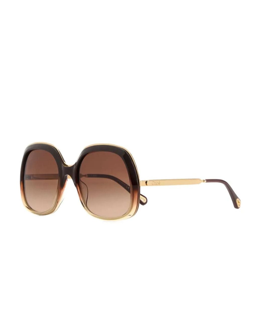 Chloé Brown Sunglasses