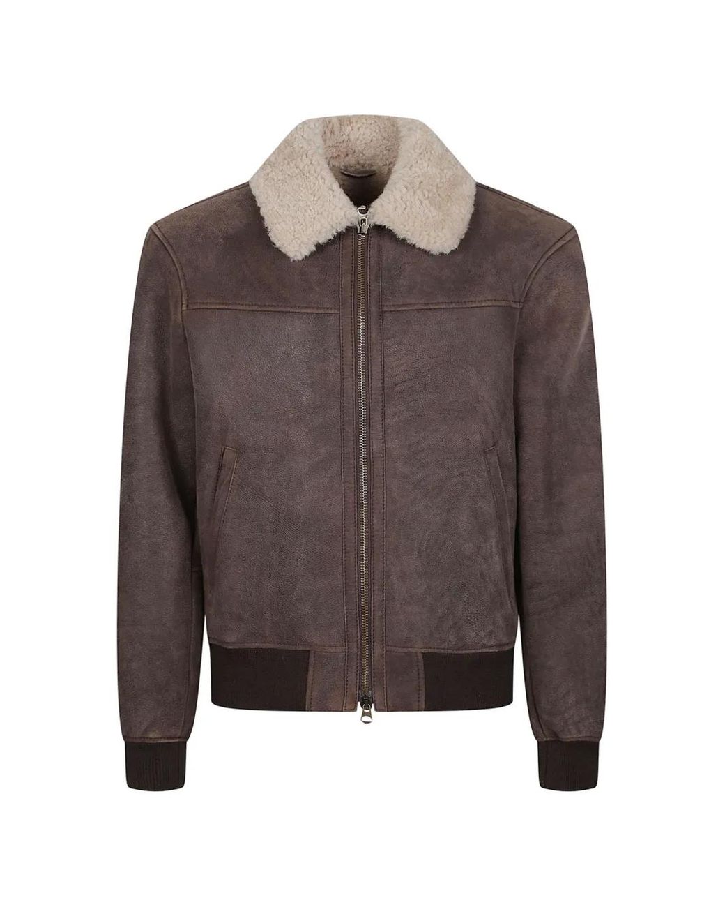 Stewart Brown Shearling-Collar Calf Leather Jacket for men