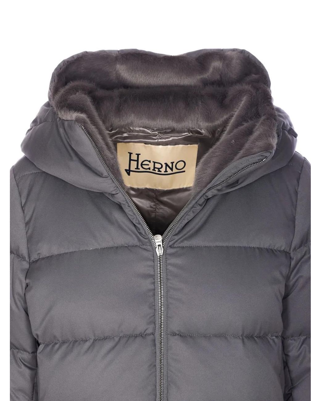 Doudoune À Capuche Herno en coloris Gray
