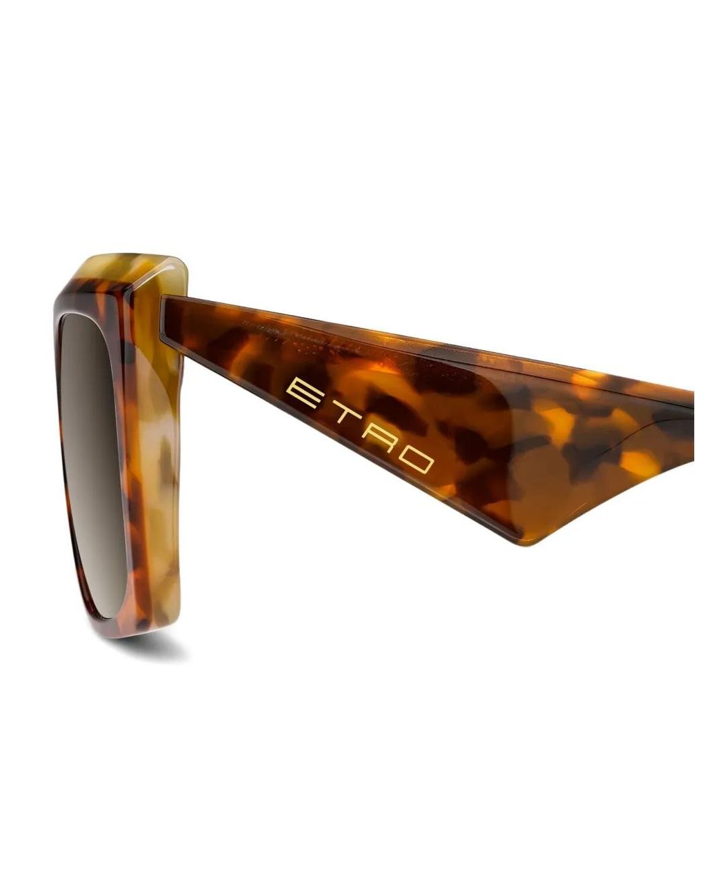 Etro Brown Tailoring Sunglasses