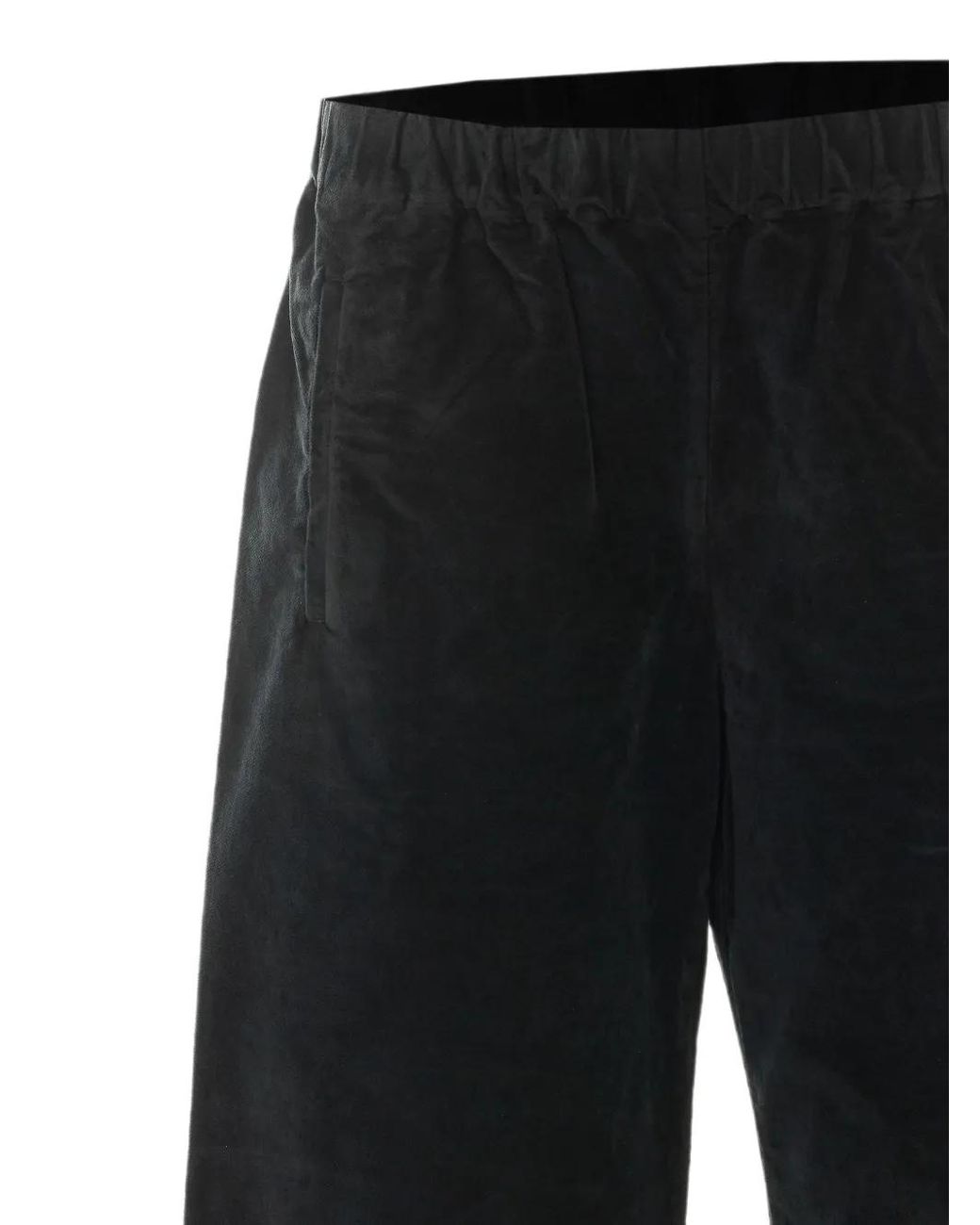 TRUE AVENUE Black Pensil Velvet-Effect Palazzo Pants