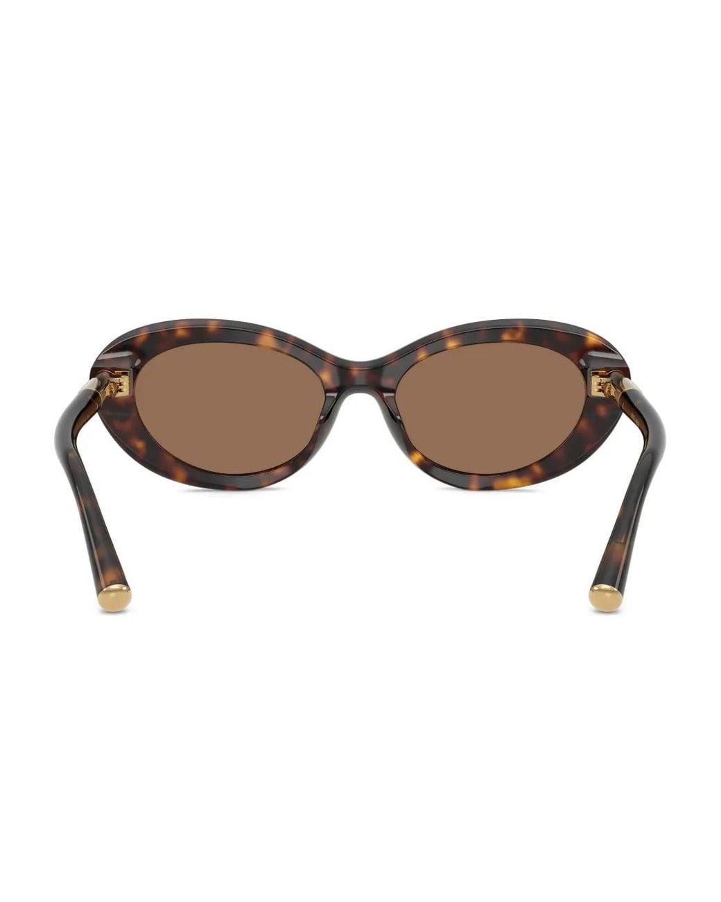 Dolce & Gabbana Brown Tortoiseshell Oval-Frame Sunglasses