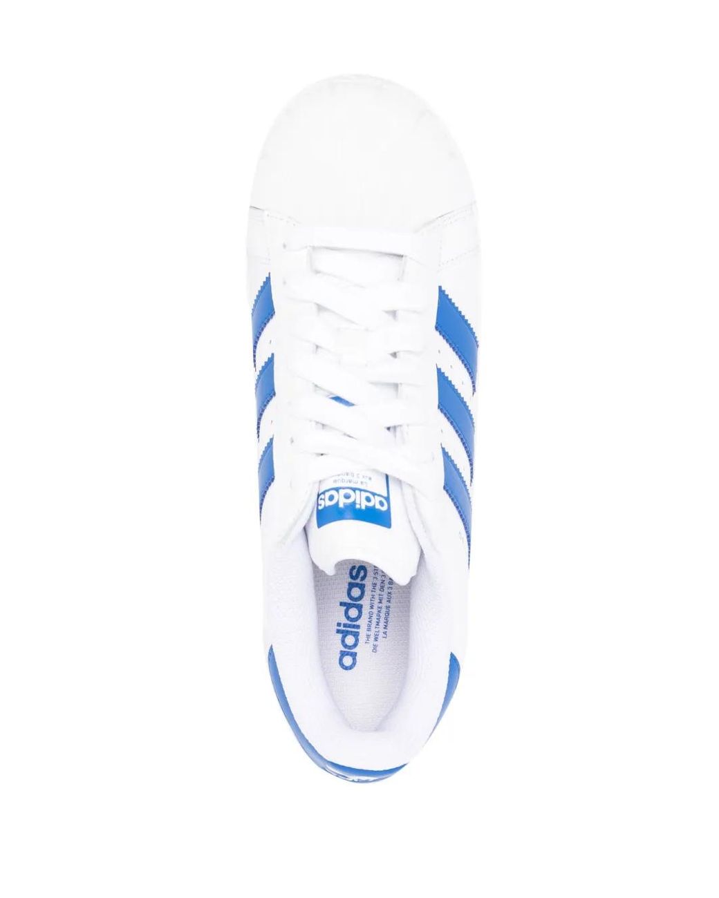 Adidas Blue Superstar Xlg Lace-Up Sneakers