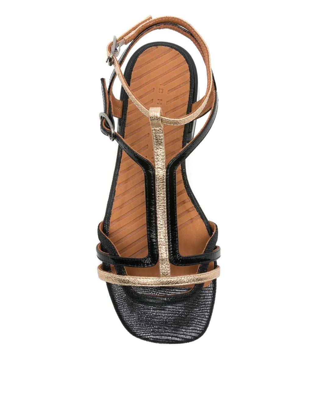 Chie Mihara Black Tylala T-Strap Buckled Sandals