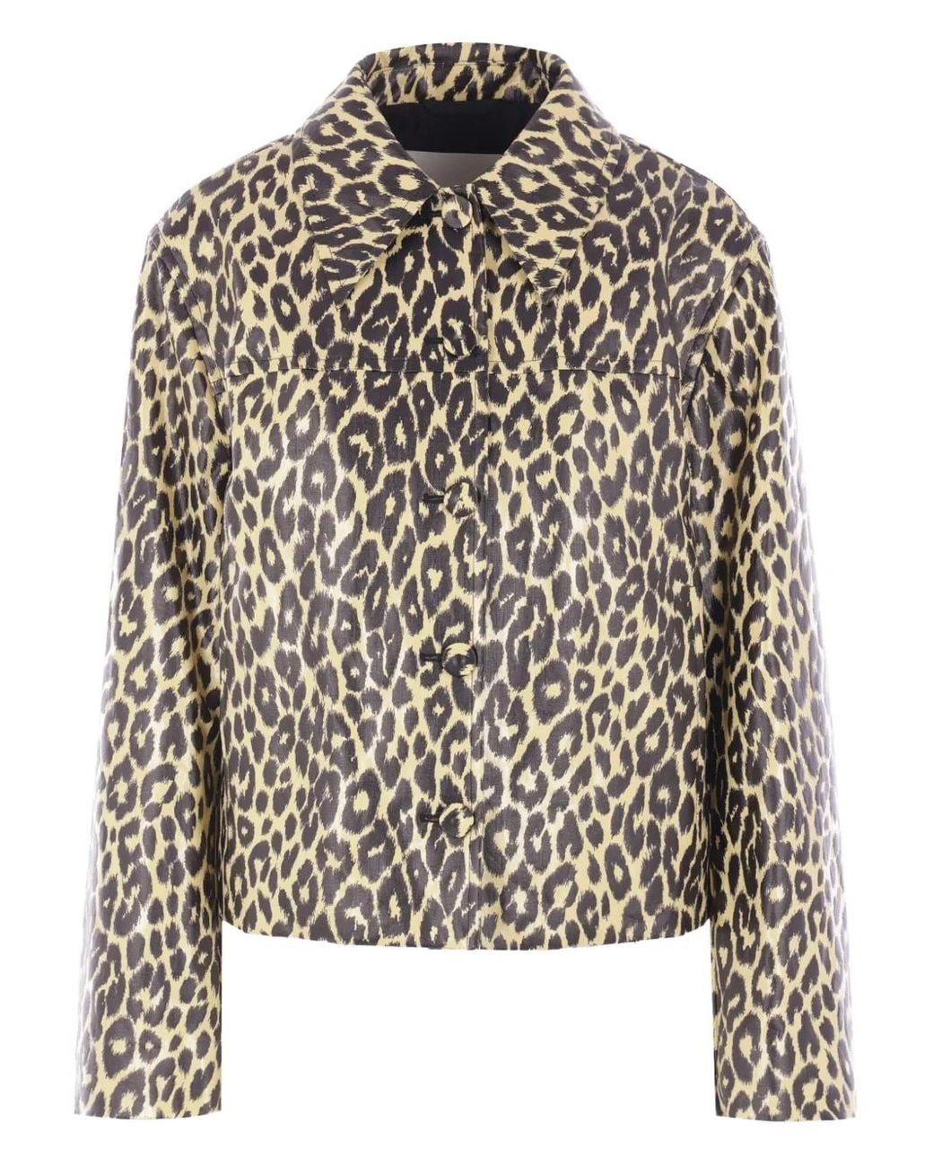 Chaqueta Con Motivo De Leopardo Jil Sander de color Black