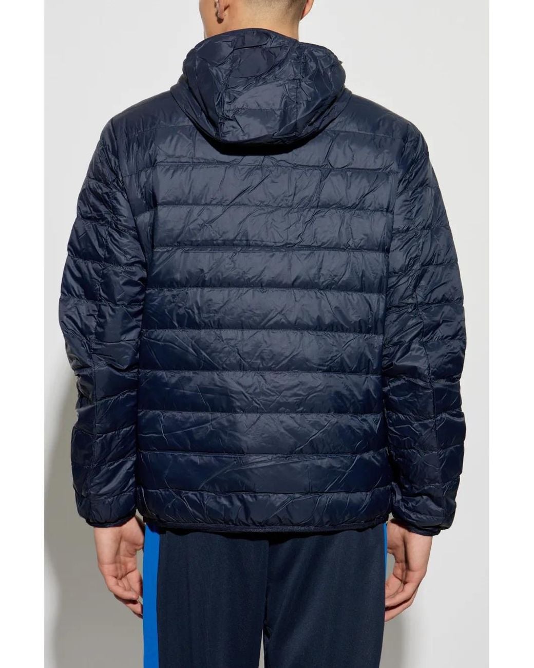 EA7 Blue Logo-Print Padded Jacket for men