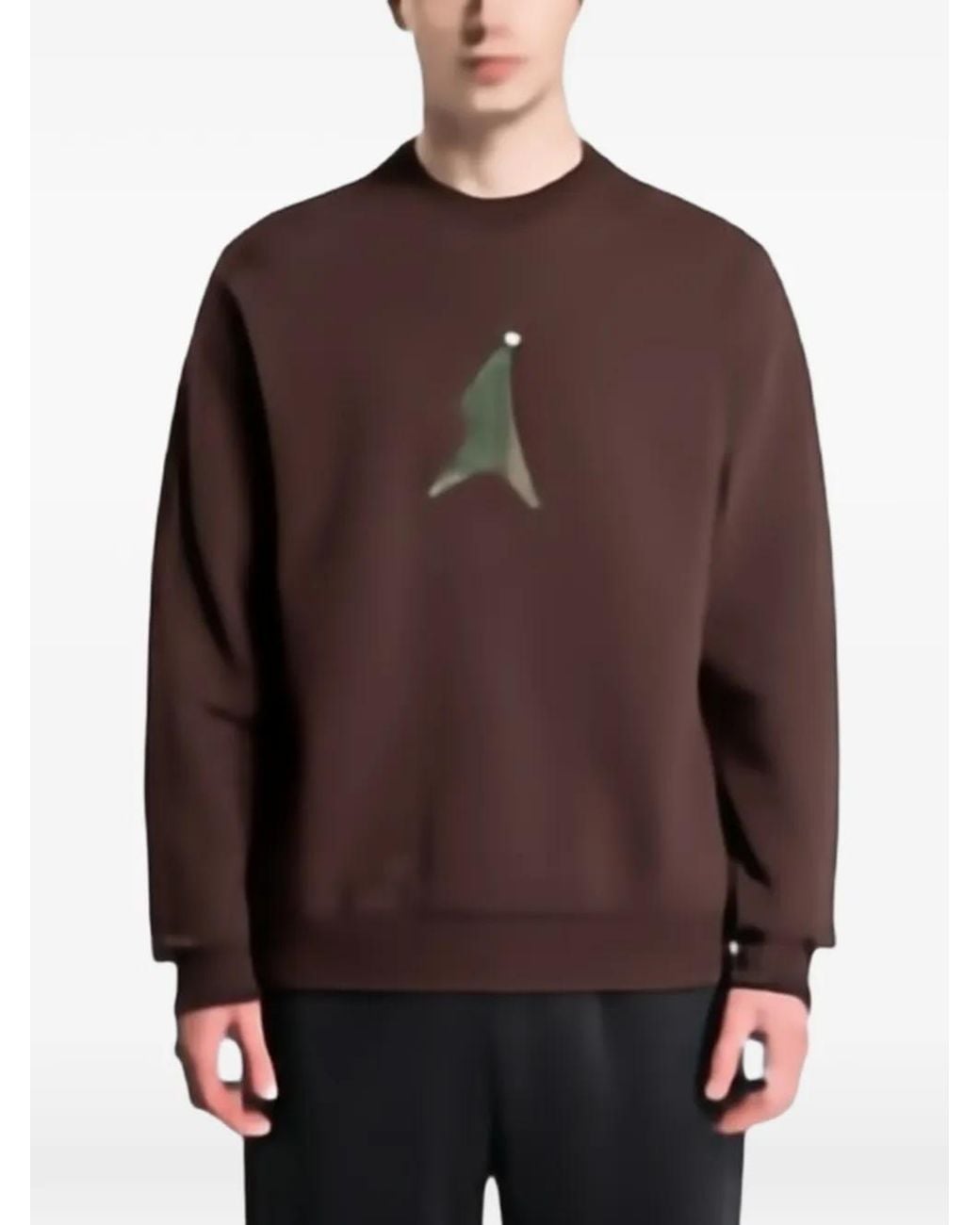 EA7 Brown Graphic-Print Raglan-Sleeve Sweater for men