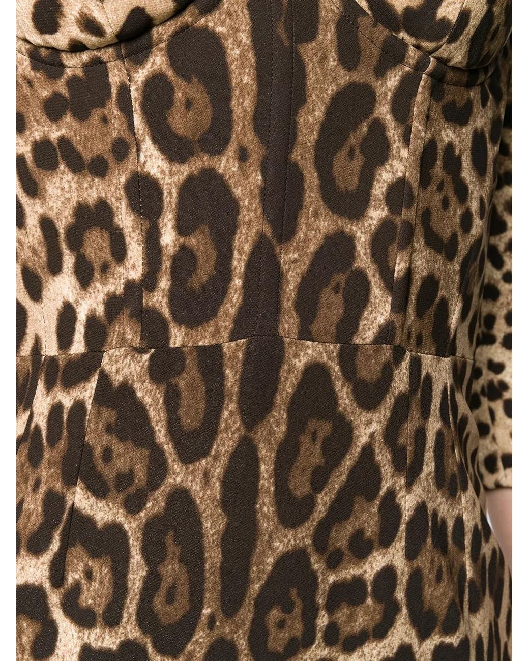 Dolce & Gabbana Brown Leopard-Print Midi Dress