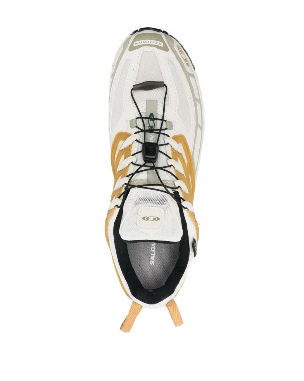 Salomon Natural Acs Pro Gtx Sneakers for men