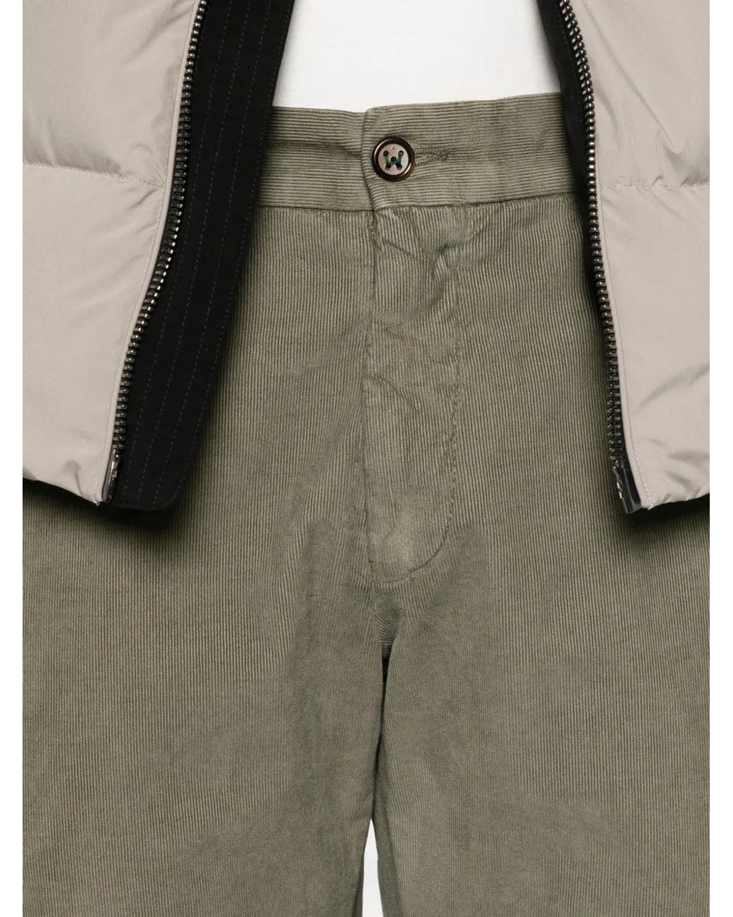 Berwich Gray Morello Elax Corduroy Trousers for men