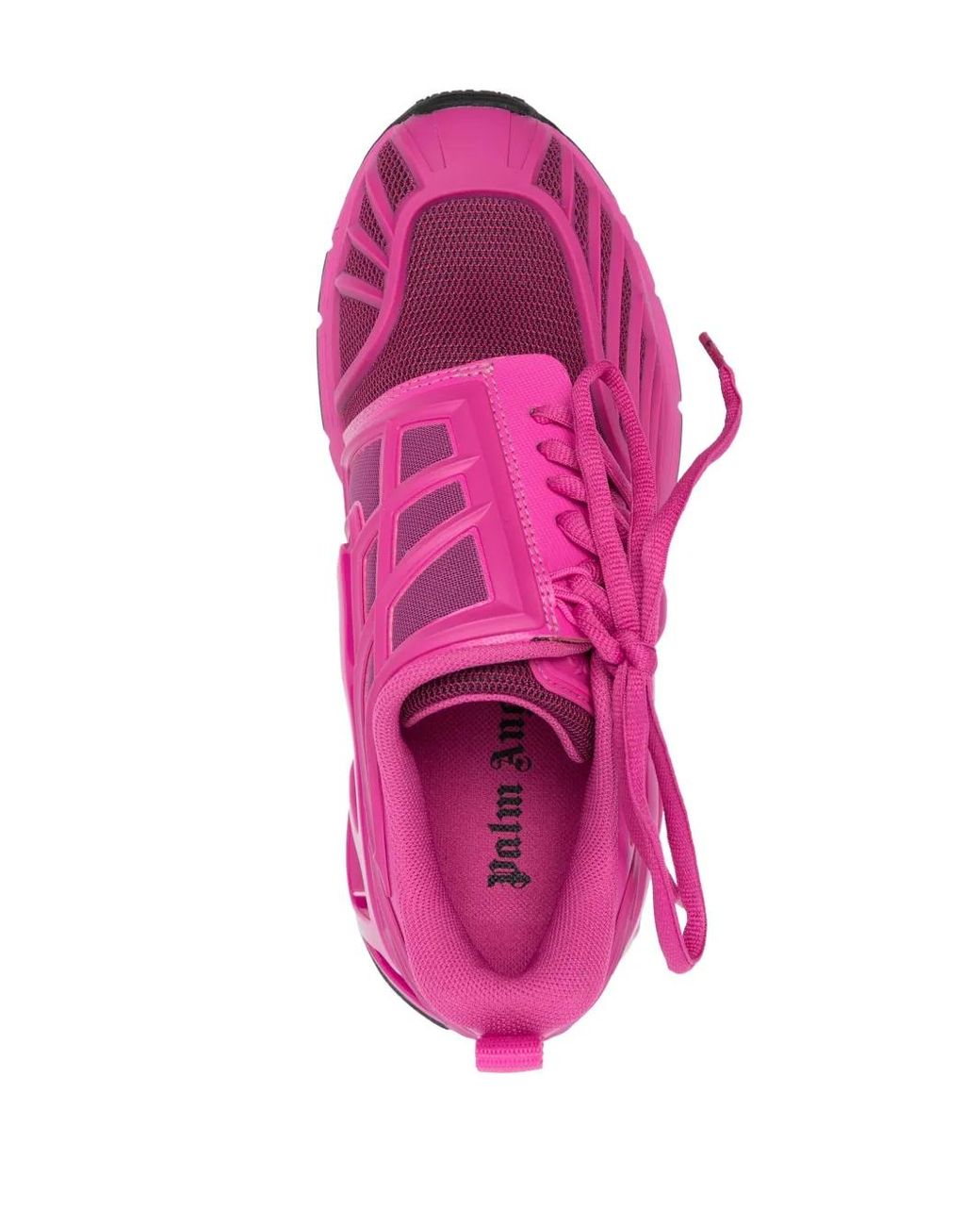 Palm Angels Pink Palm Web Low-Top Sneakers