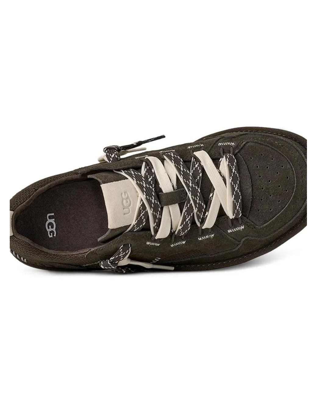Sneakers di Ugg in Black