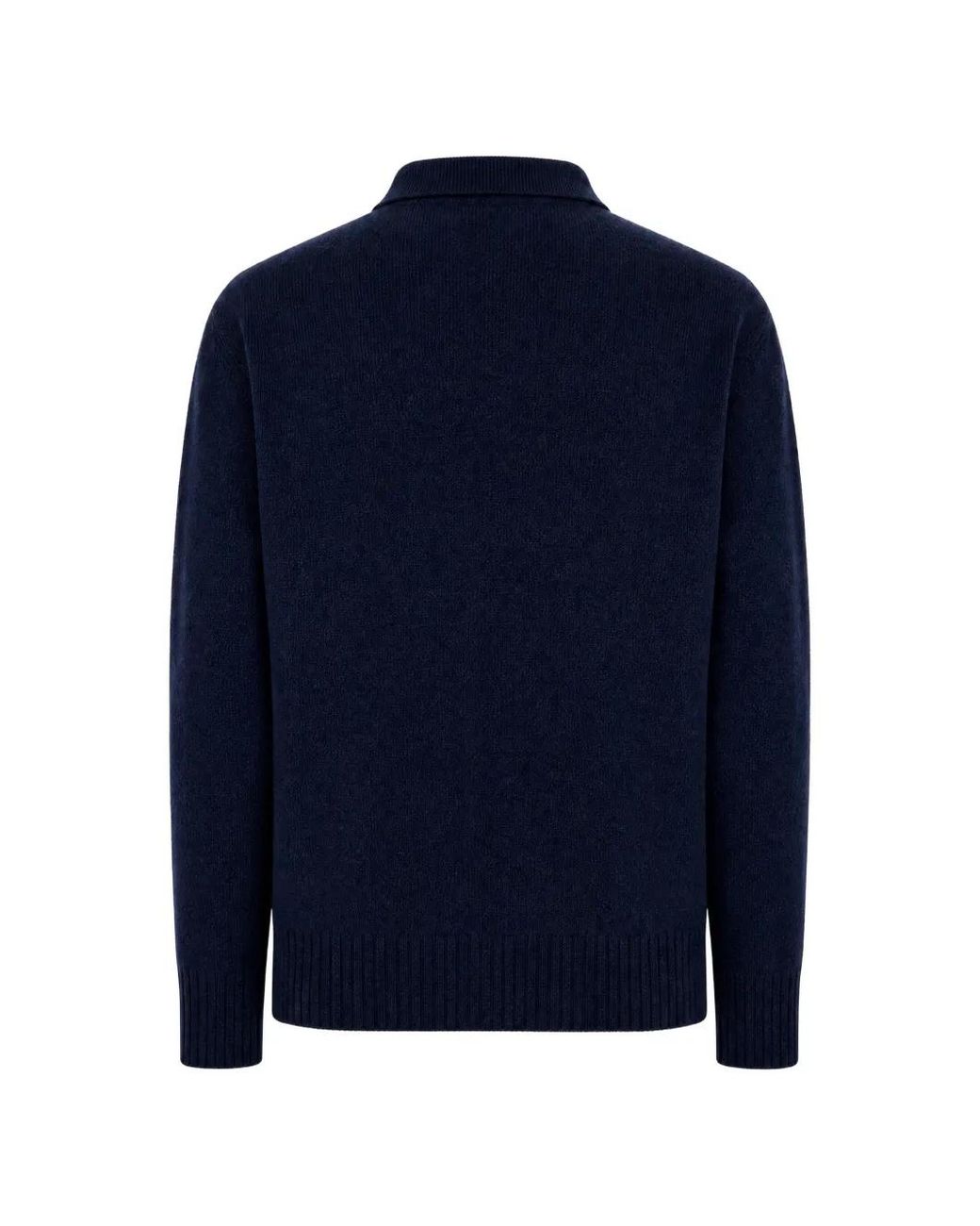 Amaranto Blue Button-Placket Polo Sweater for men