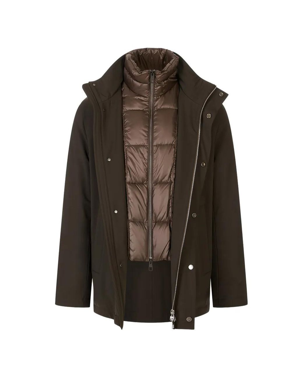 Montecore Brown High-Neck Padded Jacket for men