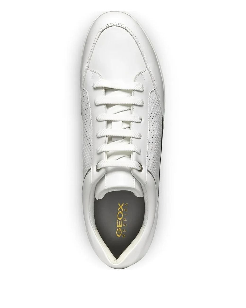 Geox White Sneakers
