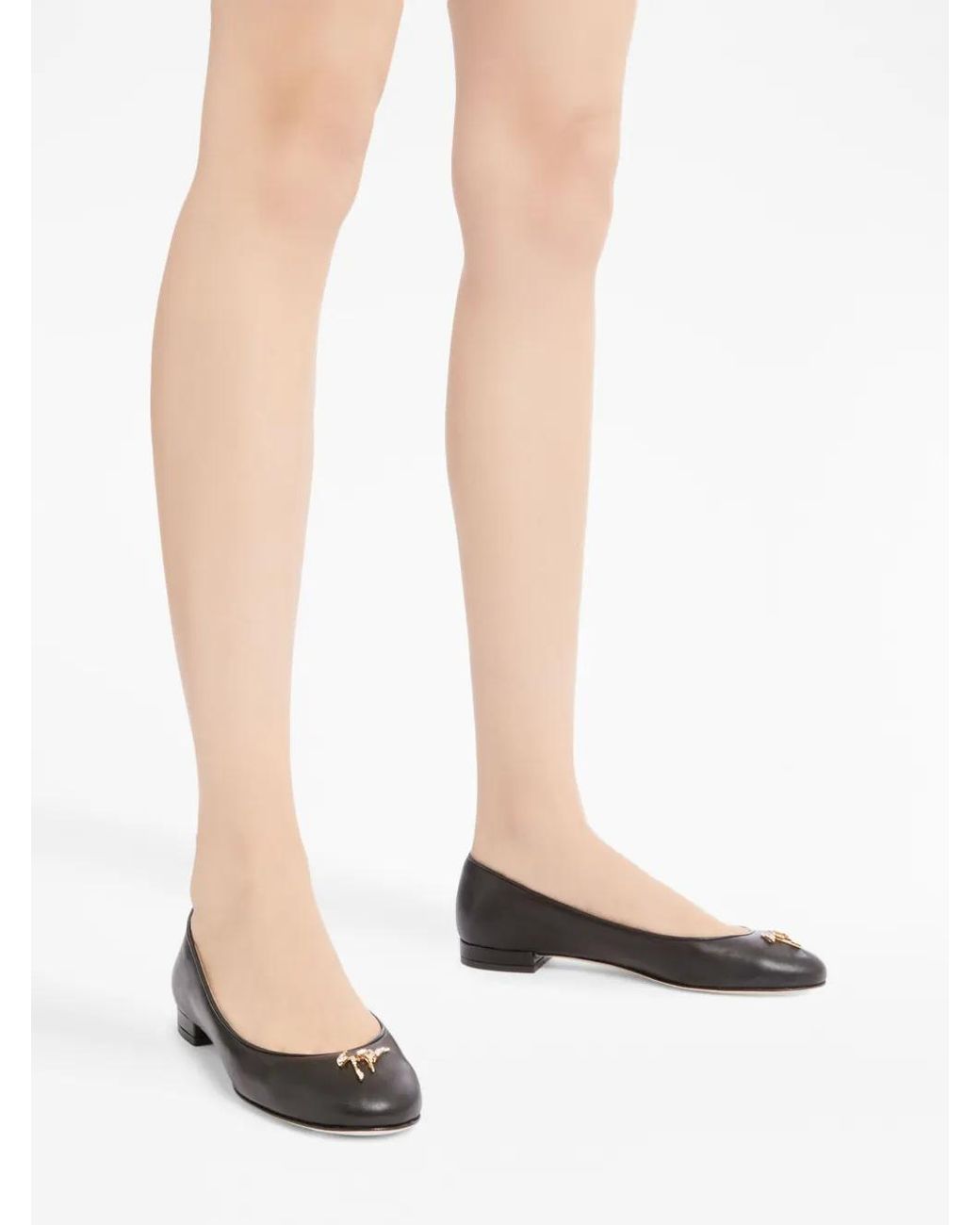 Giuseppe Zanotti Brown Riziana Ballerina Shoes