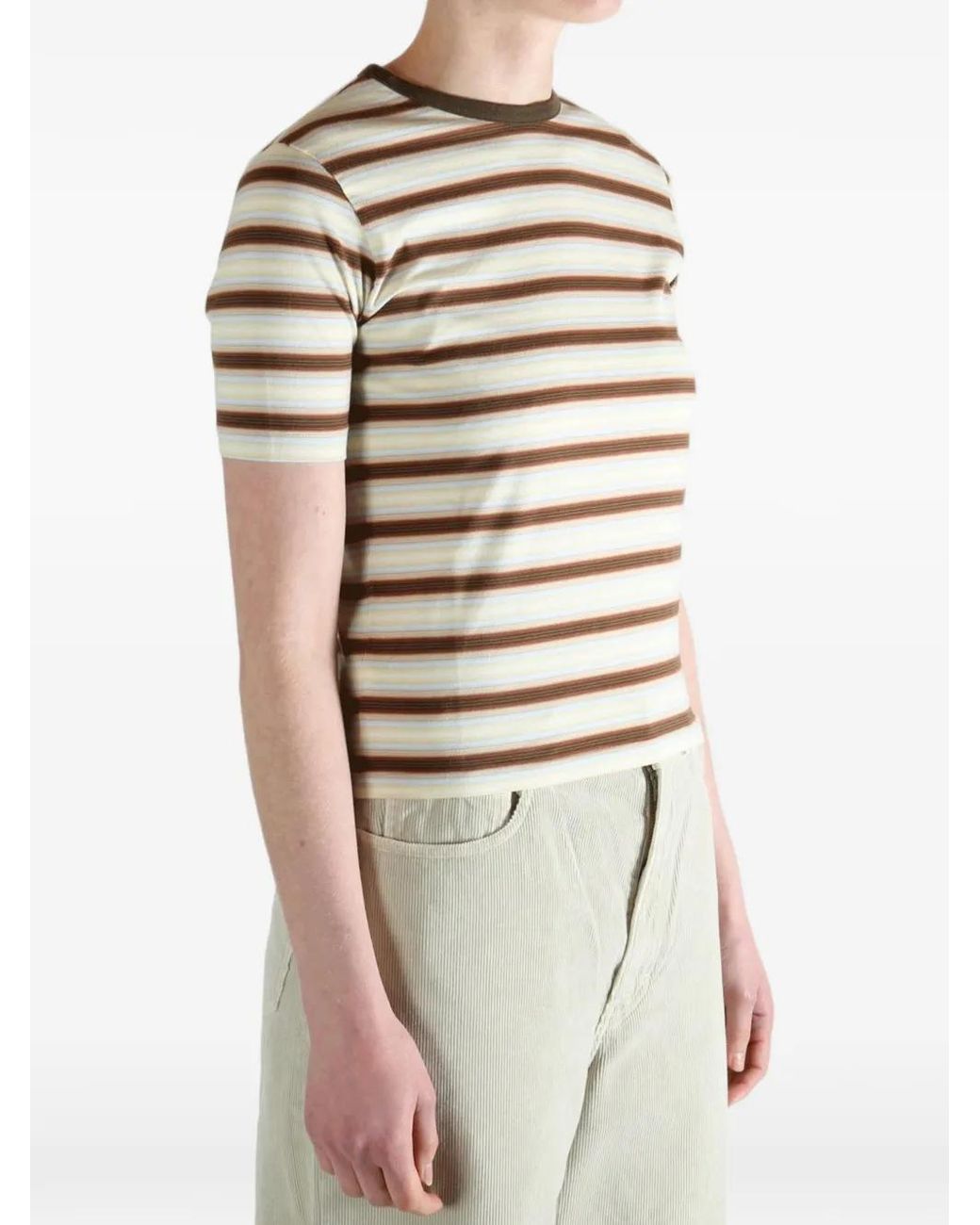 Auralee Brown Gradient Striped T-Shirt