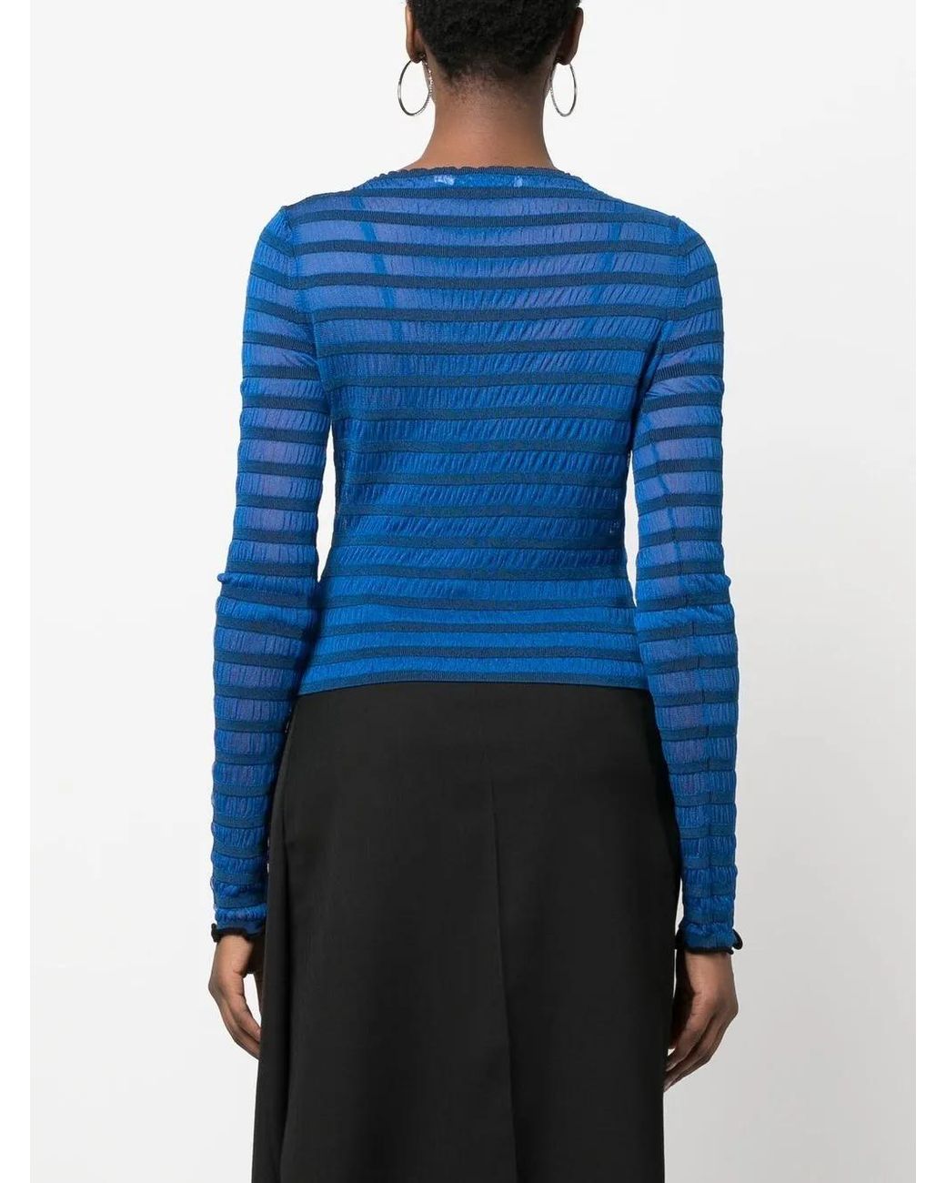 Proenza Schouler Blue Striped Semi-sheer Jumper