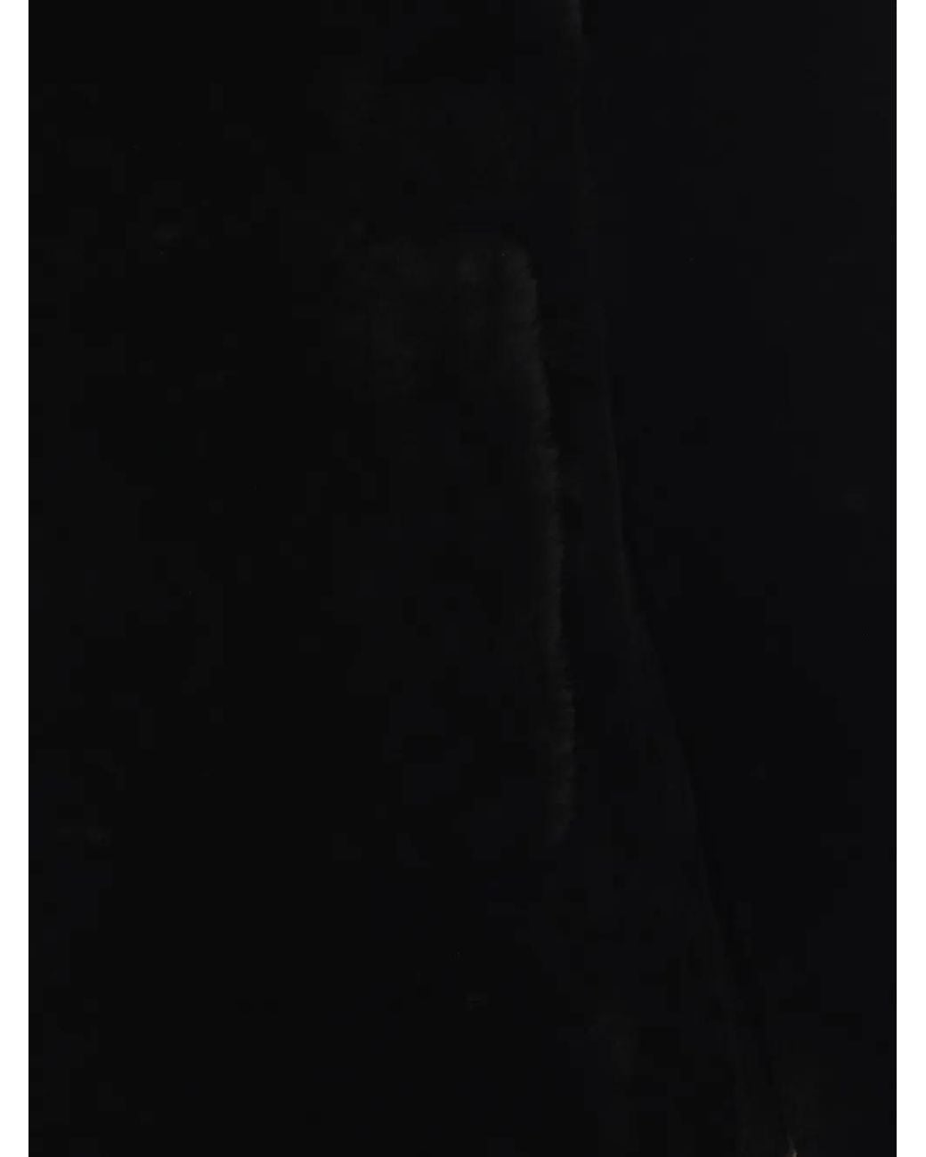 Blancha Black Zip-Up Shearling Jacket