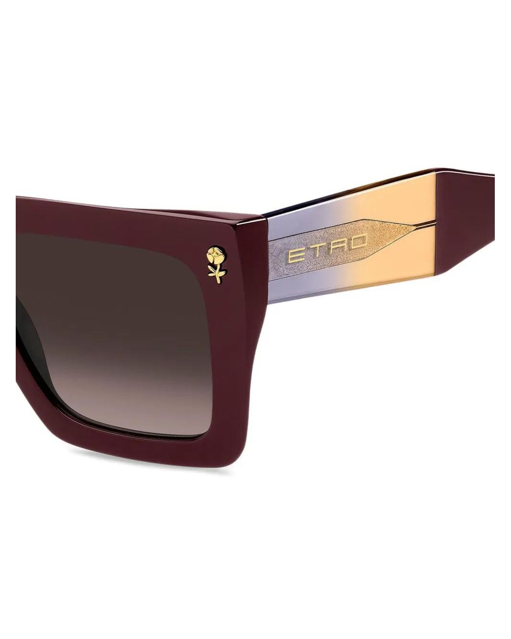 Etro Brown Colour Stripes Sunglasses