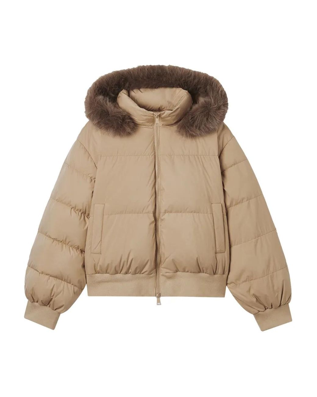 B+ AB Natural Hooded Puffer Jacket