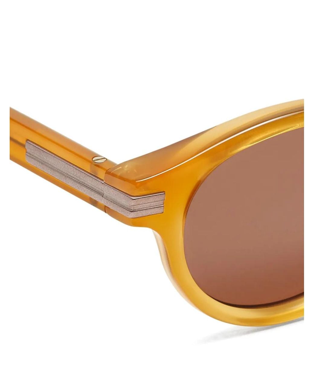 Zegna Brown Round-Frame Sunglasses for men