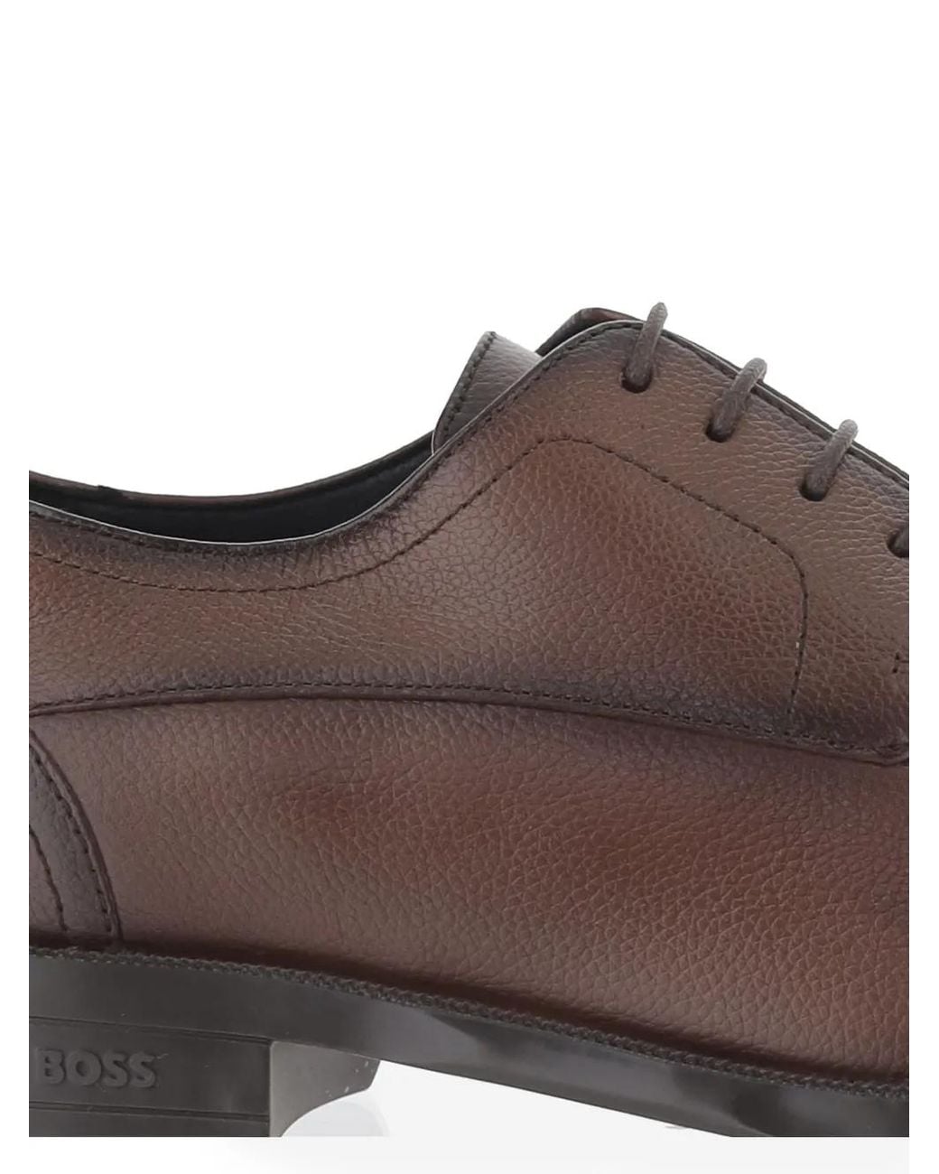 Boss Brown Derby Shoes for men